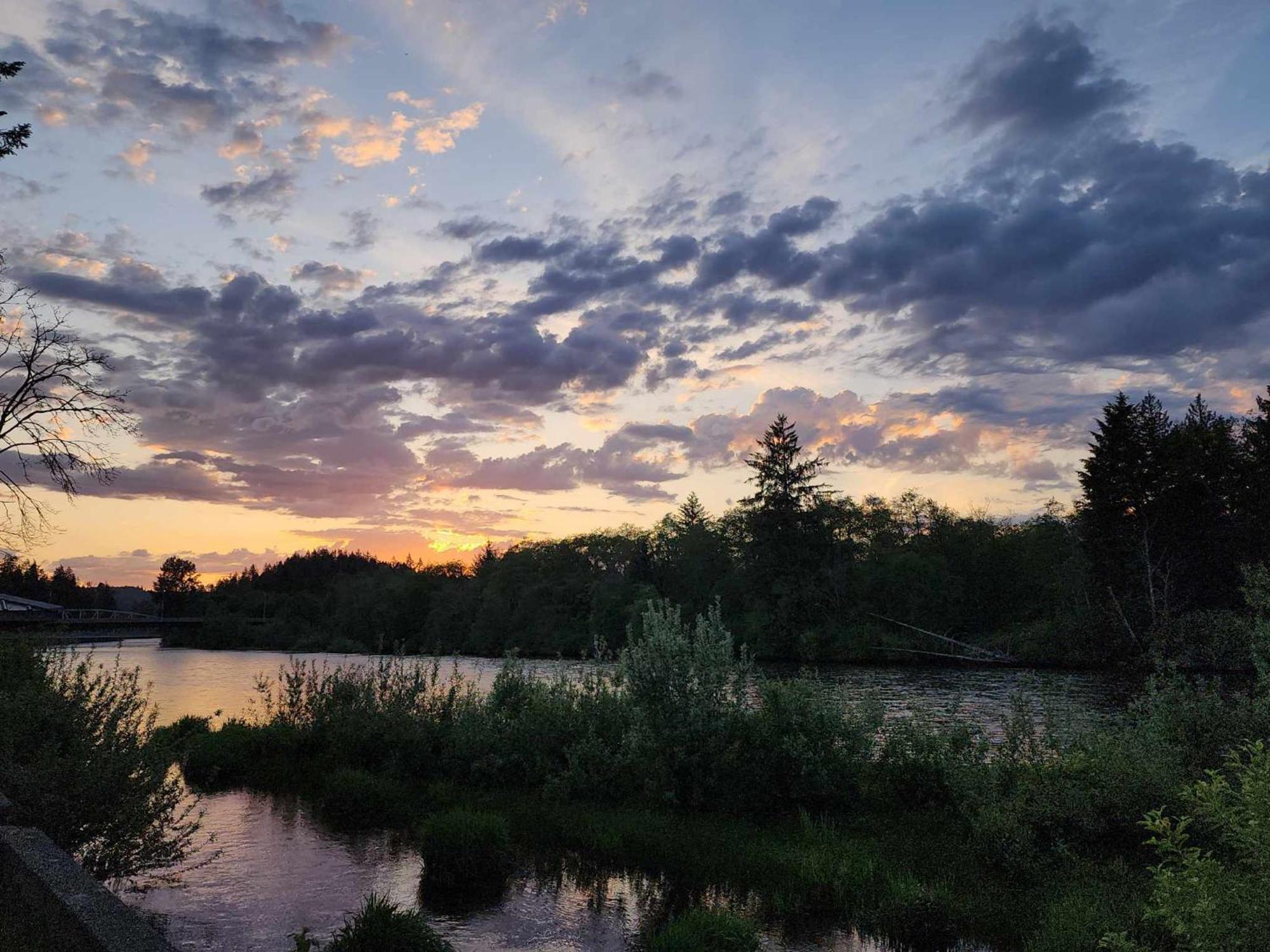 Campbell River Lodge Dış mekan fotoğraf